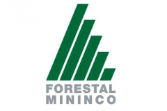 Forestal Mininco
